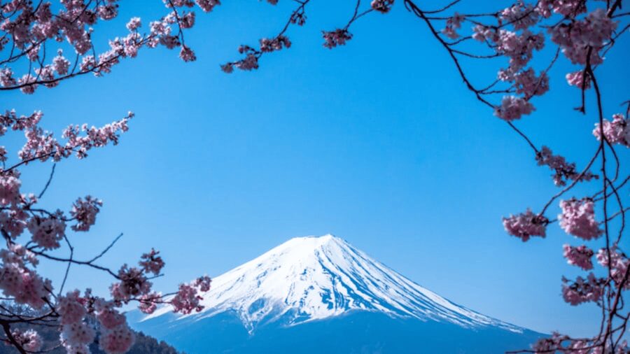 From Tokyo: Mount Fuji Private Day Tour With English Guide - Key things that make this Fuji day special