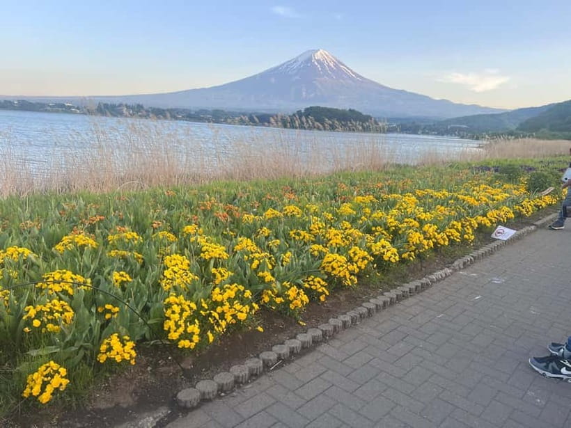 From Tokyo: Mount Fuji Private Tour with a Driver/Guide - A private Mount Fuji day that actually feels efficient