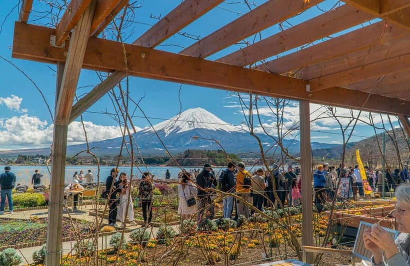 From Tokyo: Mount Fuji Private Tour with a Driver/Guide - Customization that actually helps your day