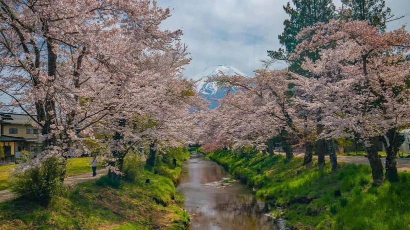 From Tokyo: Mount Fuji Private Tour with a Driver/Guide - Price and value: what $451 covers, and what costs extra