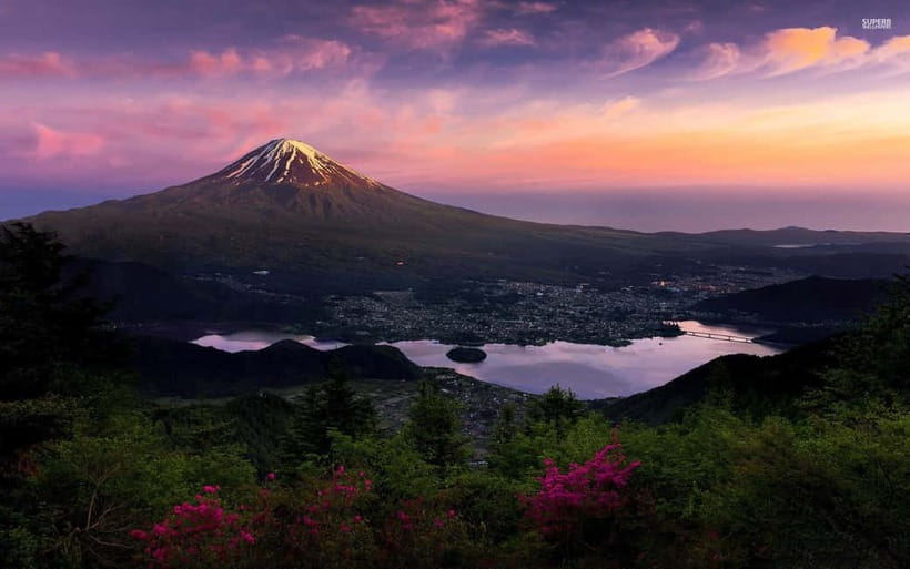 From Tokyo: Mount Fuji Private Tour With English Guide - Price and logistics: how the value really works