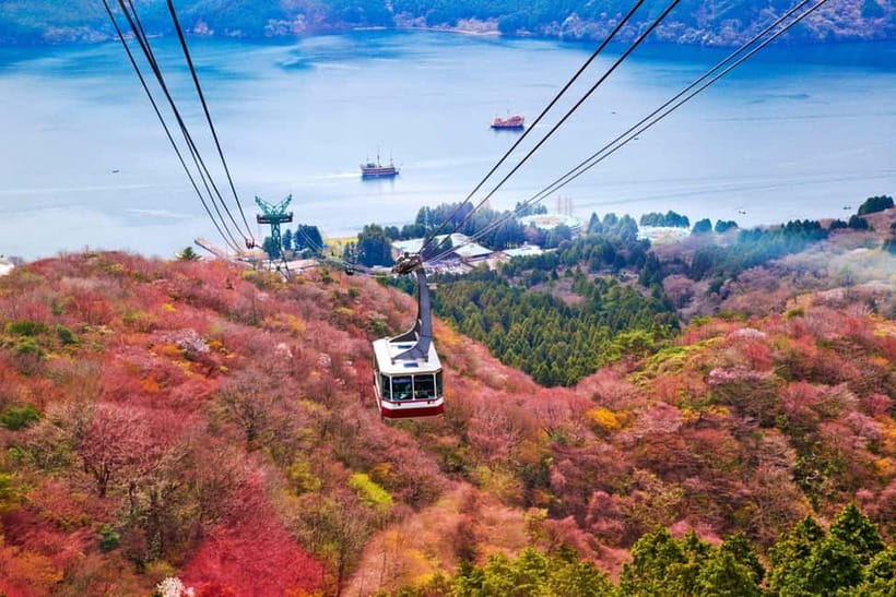 From Tokyo: Mount Fuji Private Tour With English Guide - Oshino Hakkai: the Fuji snowmelt stop you can actually taste