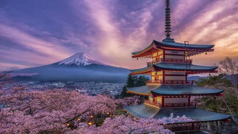 From Tokyo: Mount Fuji Private Tour With English Guide - Chureito Pagoda: why this Fuji photo stop matters