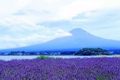 Mt. Fuji 5th station and Oshino Hakkai Day Trip