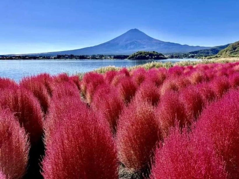From Tokyo: Mt. Fuji 5th station and Oshino Hakkai Day Trip - Mt. Fuji 5th Station at 2,300 meters: the closest big moment
