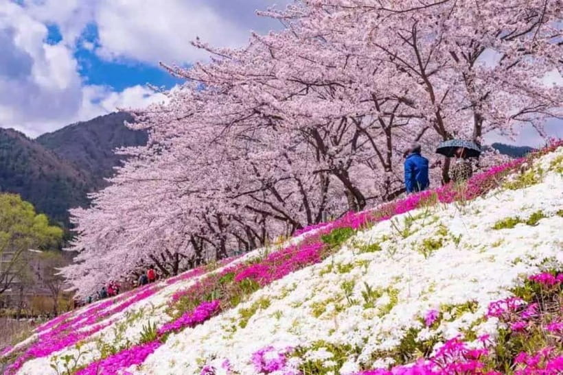 From Tokyo: Mt. Fuji 5th station and Oshino Hakkai Day Trip - Timing, weather, and why the day can feel brisk