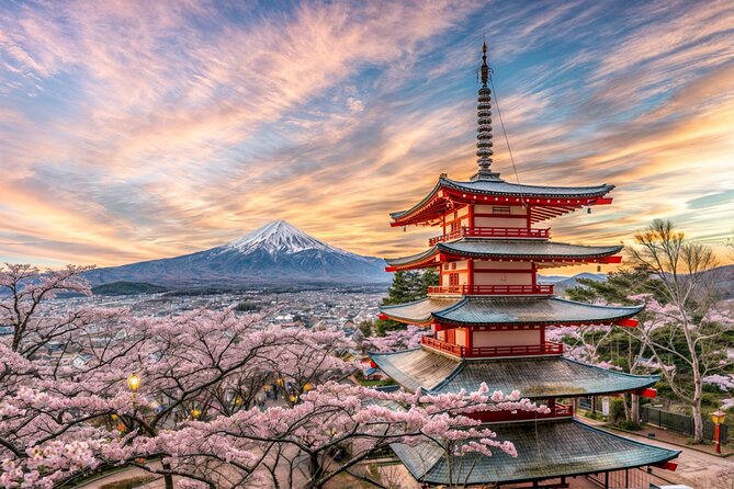 From Tokyo: Mt Fuji and Hakone Private Day Trip - Key points that shape your day