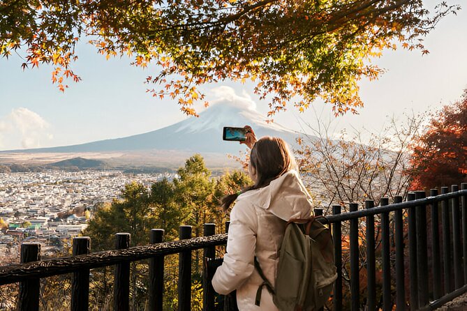 From Tokyo: Mt Fuji and Hakone Private Day Trip - Choosing Mt Fuji or Hakone, one day, one clear focus