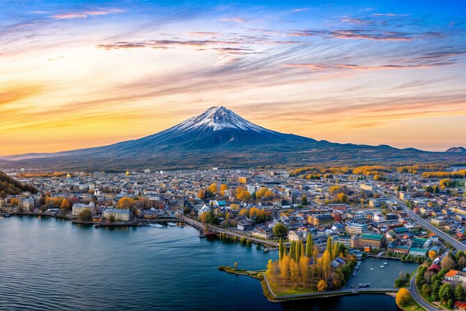 From Tokyo: Mt Fuji and Hakone Private Day Trip - Mt Fuji itinerary: Chureito Pagoda to Narusawa Ice Cave