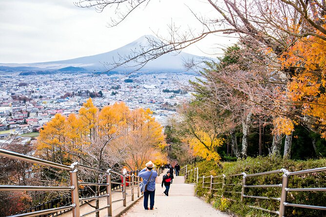 From Tokyo: Mt Fuji and Hakone Private Day Trip - Hakone itinerary: Sky Walk, torii gates, ropeway views, Lake Ashi