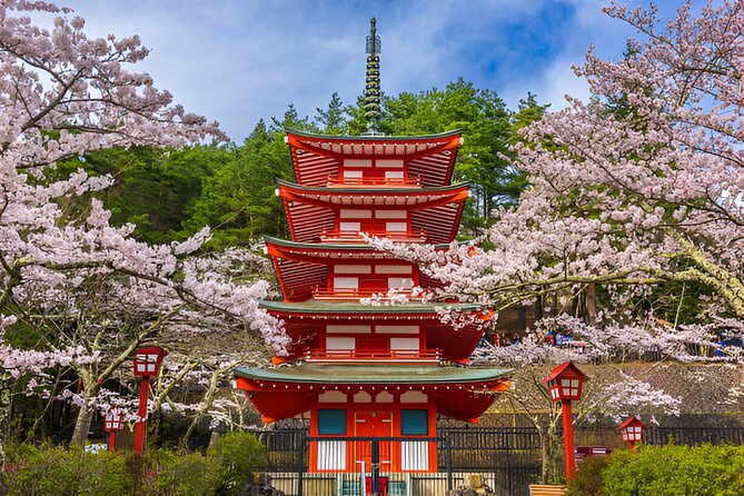 From Tokyo: Mt Fuji and Hakone Private Day Trip - When this day trip is the right fit