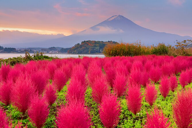 From Tokyo: Mt Fuji and Hakone Private Day Trip - My booking advice: should you book this Mt Fuji or Hakone private trip