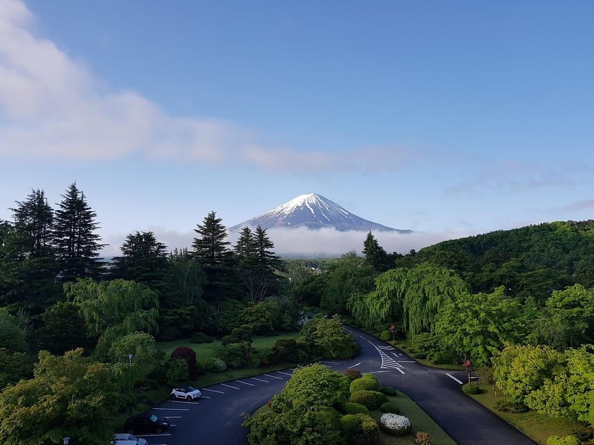 From Tokyo: Mt. Fuji And Hakone Private Sightseeing Day Trip - A 10-Hour Private Day Trip: Door-to-Door to Fuji and Hakone