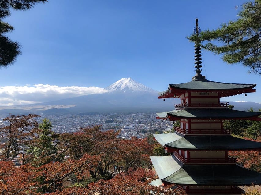 From Tokyo: Mt. Fuji And Hakone Private Sightseeing Day Trip - Who This Private Tour Is Best For