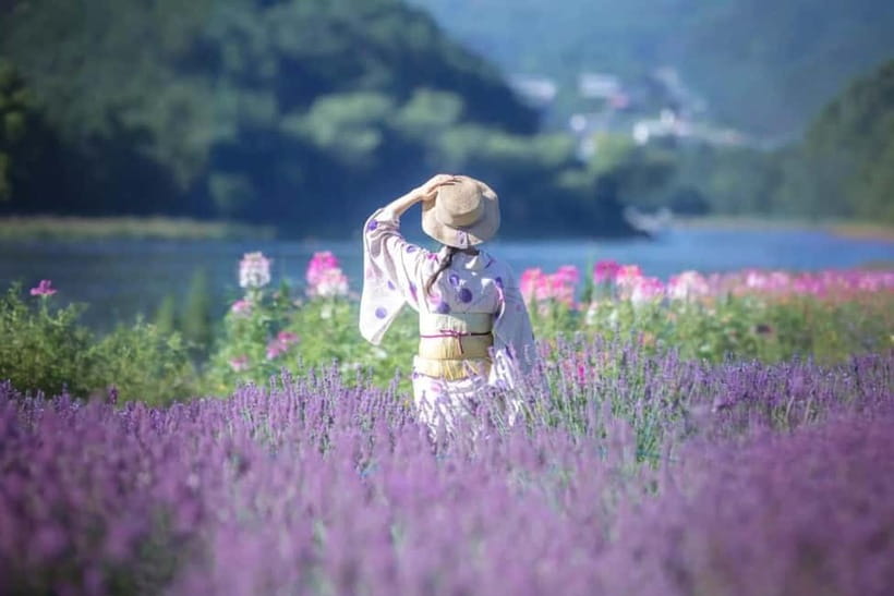 From Tokyo: Mt Fuji, Arakurayama and Kawaguchi Lake Day Trip - Who should book this Mt. Fuji, Arakurayama, and Kawaguchiko tour