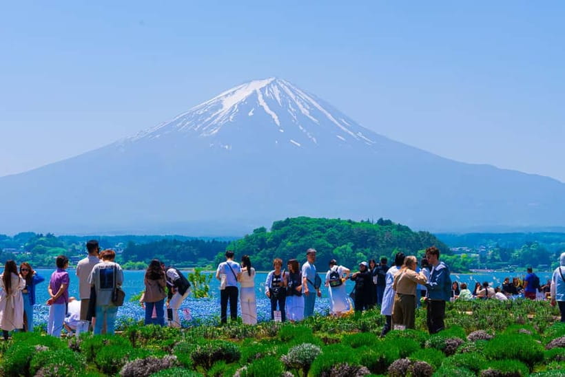 From Tokyo: Mt Fuji, Arakurayama and Kawaguchi Lake Day Trip - The Lawson Lake Kawaguchiko stop: a Fuji backdrop with a wink