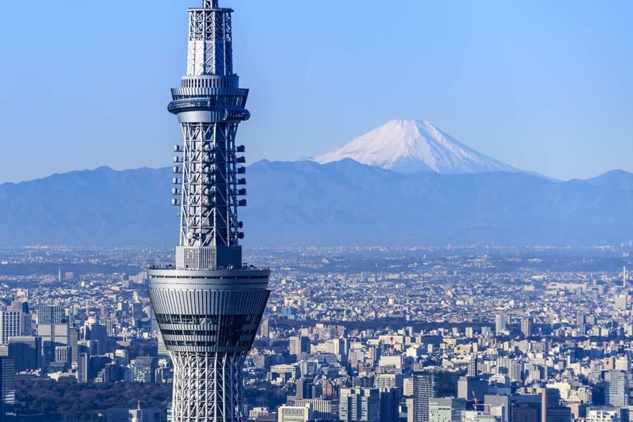 From Tokyo: Mt. Fuji Customizable Full day private Tour - Key highlights to look for