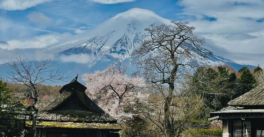 From Tokyo: Mt. Fuji Customizable Full day private Tour - Oshino Hakkai and Kitaguchi-hongu Fuji Sengen Shrine, culture you can see