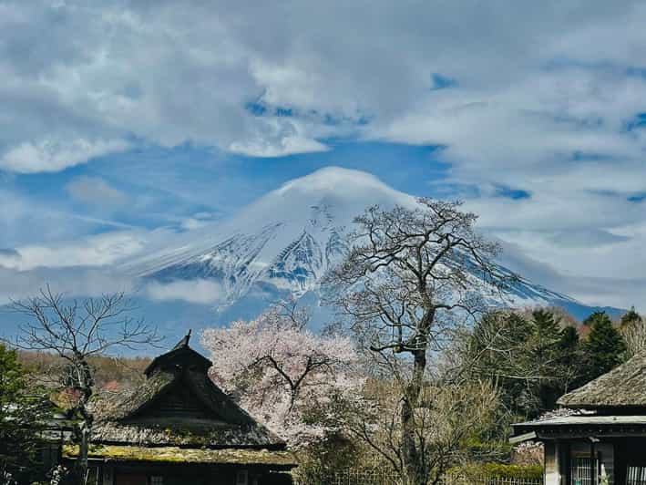From Tokyo: Mt. Fuji Customizable Full day private Tour - Saiko Iyashi-no-Sato Nenba and Fugaku Wind Cave, short stops with personality