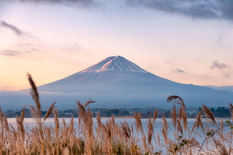 From Tokyo: Mt.Fuji & Gotemba Outlets Private Day Trip - Arakurayama Sengen Park and Chureito Pagoda Views