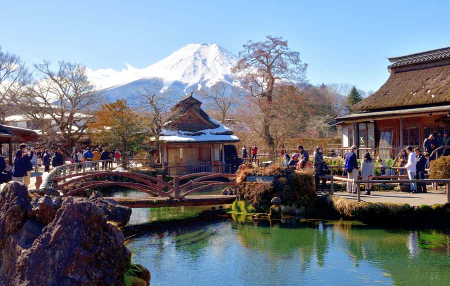 From Tokyo: Mt. Fuji & Hakone Private Day Tour (Low Price) - Oishi Park and the Ropeway Route That Keeps the Day Moving