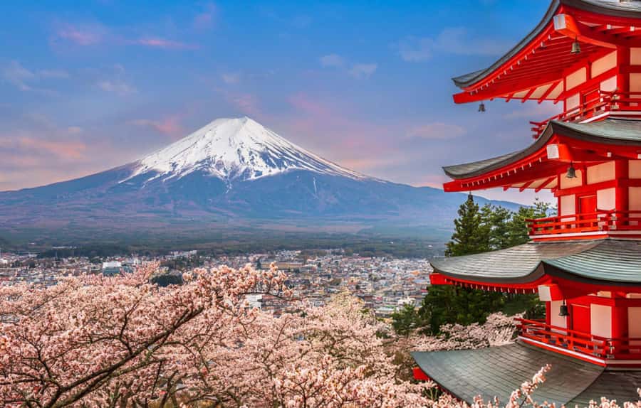 From Tokyo: Mt. Fuji & Hakone Private Day Tour (Low Price) - Price Value and Should You Book