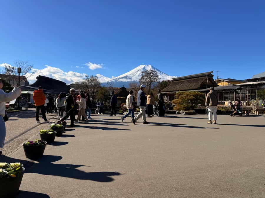 From Tokyo: Mt. Fuji & Hakone Private Day Tour (Low Price) - FAQ