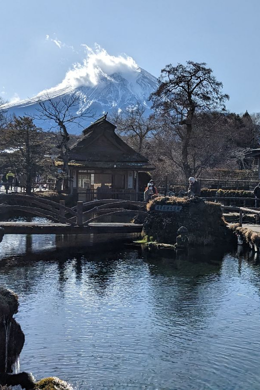 From Tokyo: Mt. Fuji & Hakone Tour w/ Return by Bullet Train - Mt. Fuji Plus Hakone in One Day: The Value Pitch