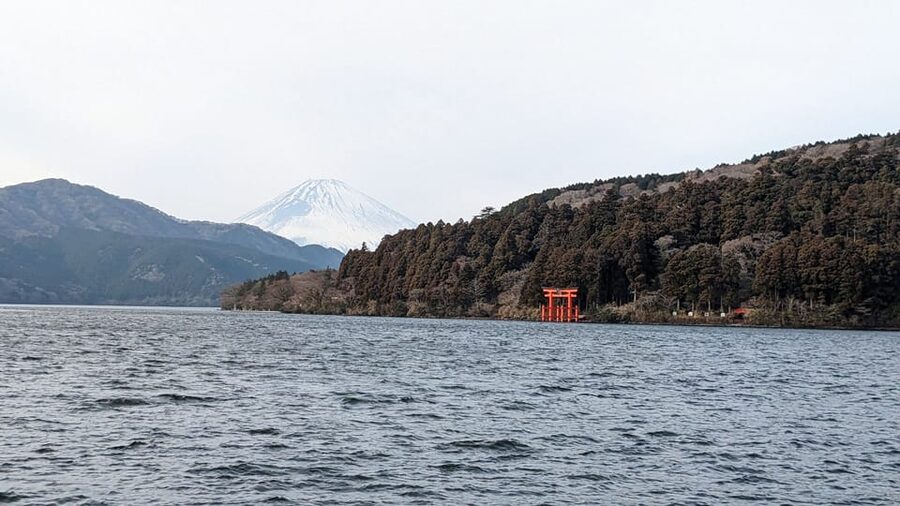 From Tokyo: Mt. Fuji & Hakone Tour w/ Return by Bullet Train - Bullet Train Return From Odawara, and How to Not Get Stuck