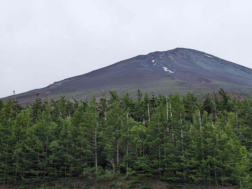From Tokyo: Mt. Fuji & Hakone Tour w/ Return by Bullet Train - What to Expect When Weather Turns