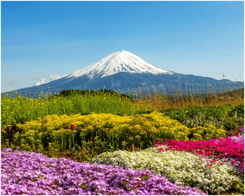 From Tokyo: Mt.Fuji, Lake Kawaguchi, Oshino Hakkai Day Tour - Lake Kawaguchiko and matcha making that actually feels hands-on