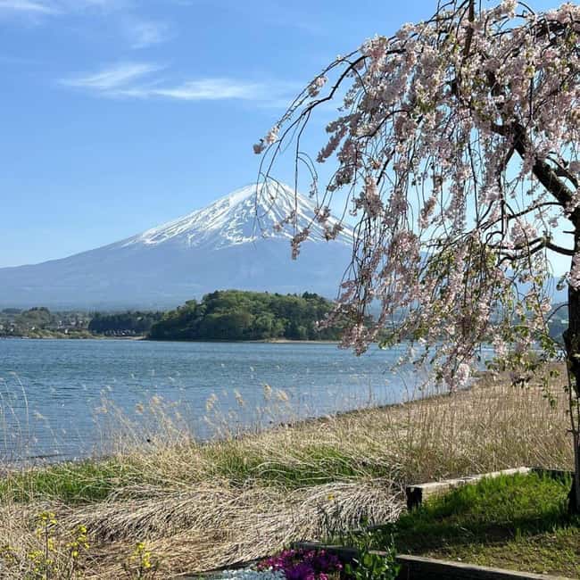 From Tokyo: Mt Fuji Private Day Tour In Luxury Land Cruiser - Key highlights at a glance