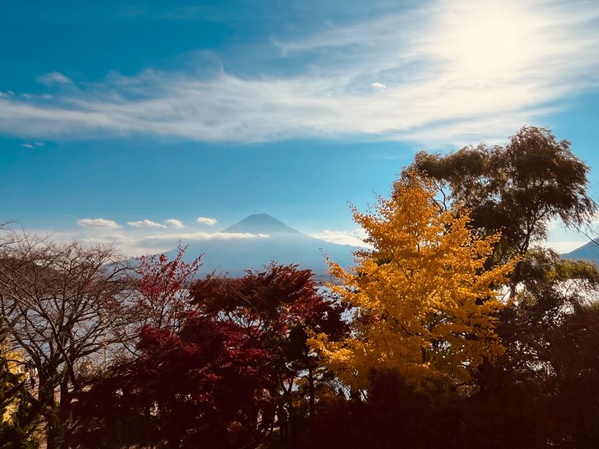From Tokyo: Mt.Fuji, Tea Ceremony & Outlet Shopping Day Tour - Why This Mt. Fuji Day Trip Feels Like a Best-Of Package