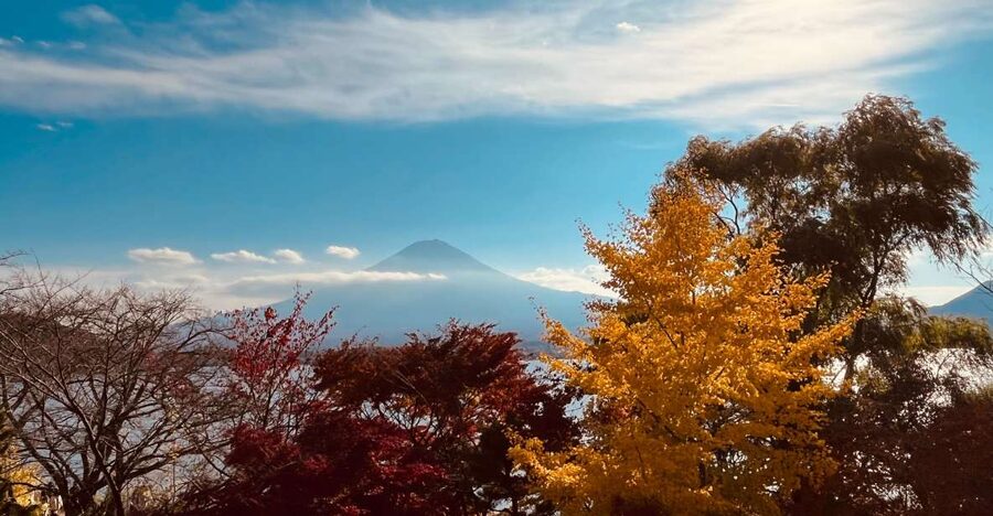 From Tokyo: Mt.Fuji, Tea Ceremony & Outlet Shopping Day Tour - Arakurayama Sengen Park: The Chureito Pagoda Photo Stop, With Real Timing Limits