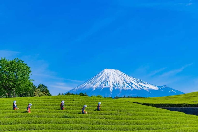 From Tokyo: Must-Visit Mount Fuji Highlight Full-Day Tour - Shimoyoshida Honcho Street and Lawson Fujikawaguchiko, Quick Breaks That Feel Local