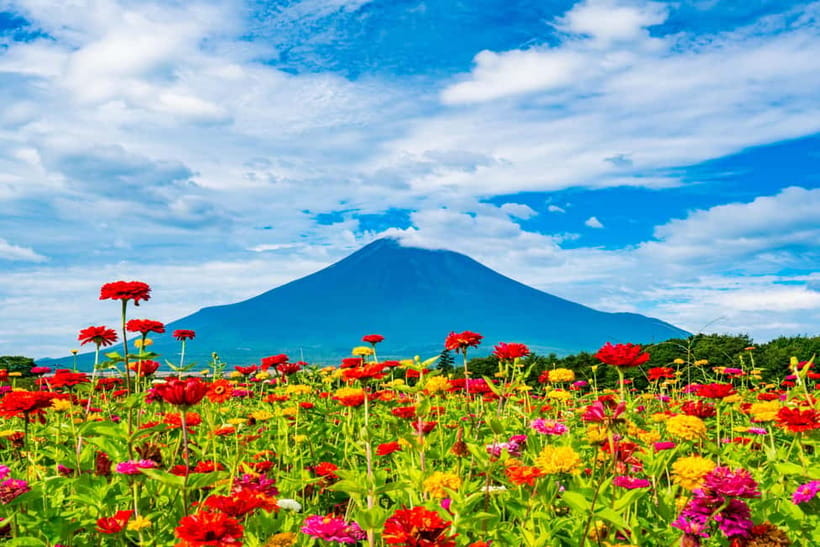 From Tokyo: Must-Visit Mount Fuji Highlight Full-Day Tour - Lake Kawaguchi and Oishi Park, Where Fuji Reflections Are the Prize