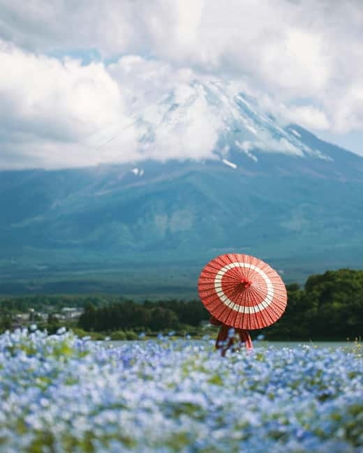 From Tokyo: Must-Visit Mount Fuji Highlight Full-Day Tour - Shiraito Waterfall Lunch Break, Mist and Cooling Air