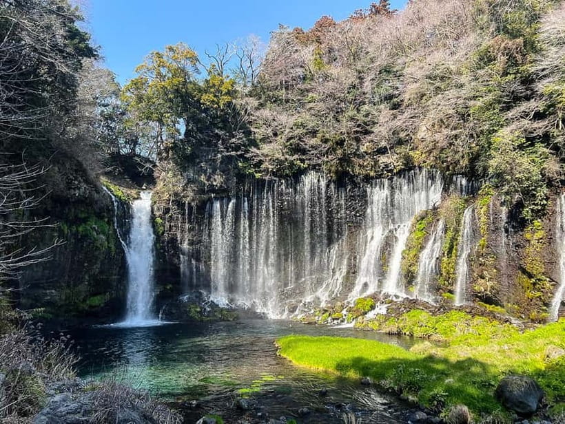 From Tokyo: Must-Visit Mount Fuji Highlight Full-Day Tour - Tea Fields at Obuchi Sasaba, and the Matcha Stop Option
