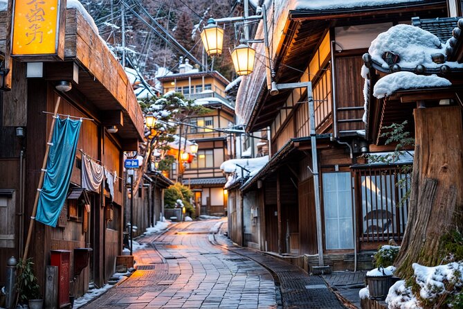 From Tokyo: Nagano Snow Monkey Park Private Tour - English-Speaking Driver Value and How to Use It