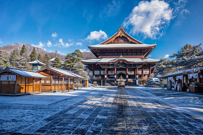 From Tokyo: Nagano Snow Monkey Park Private Tour - Price and Value: Is $586.37 per Group Worth It?