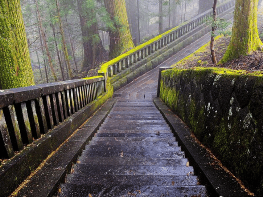From Tokyo: Nikko Customised Private 1 Day Sightseeing Tour - Who should book this Nikko private day trip