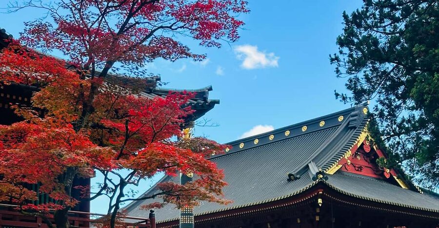 From Tokyo: Nikko Customize private Tour With English Driver - Entering Toshogu Shrine and Seeing Why It’s UNESCO