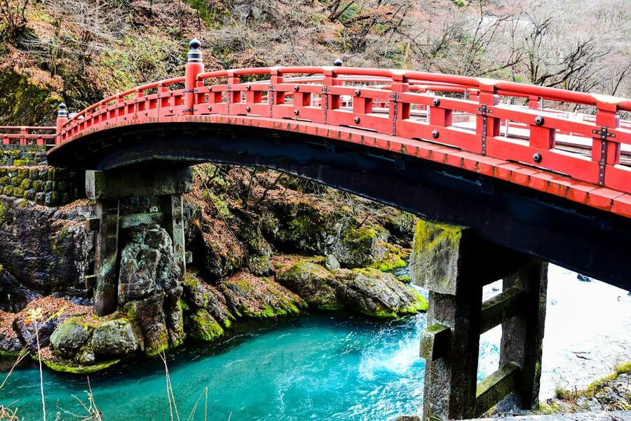 From Tokyo: Nikko Customized Private English Full-Day Trip - Kegon Falls: When 100 Meters Turns Into Real Sound