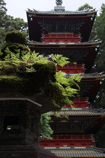 From Tokyo: Nikko Customized Private English Full-Day Trip - Toshogu Shrine: Ornate Carvings That Actually Mean Something
