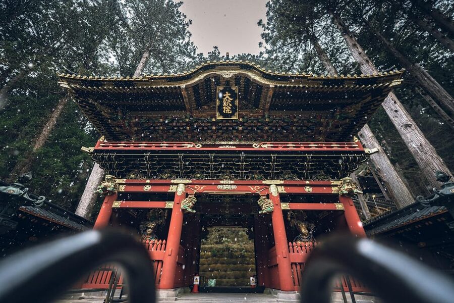From Tokyo: Nikko Full-Day Sightseeing Trip - Lunch, Pace, and How Guides Can Shape Your Day