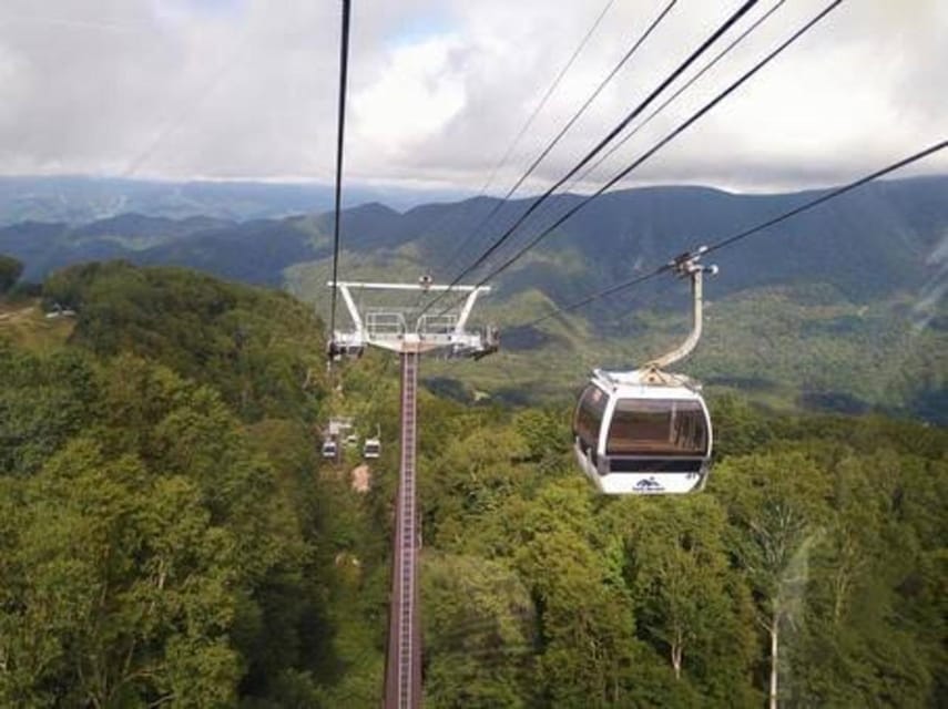 From Tokyo: Nikko luxury Tour with English-speaking Guide - Shinkyo Bridge: Your First Nikko Moment
