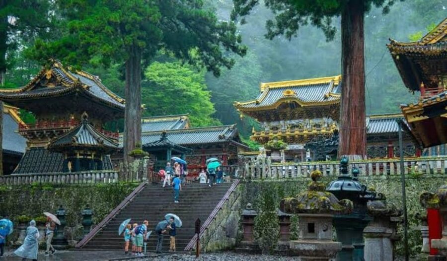 From Tokyo: Nikko luxury Tour with English-speaking Guide - Lake Chūzenji: Mountain Air and Your Food Break