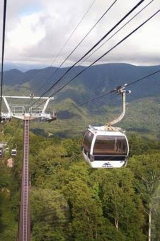 From Tokyo: Nikko luxury Tour with English-speaking Guide - The Ride Out: Private Van, Long Day Reality, and Comfort That Matters