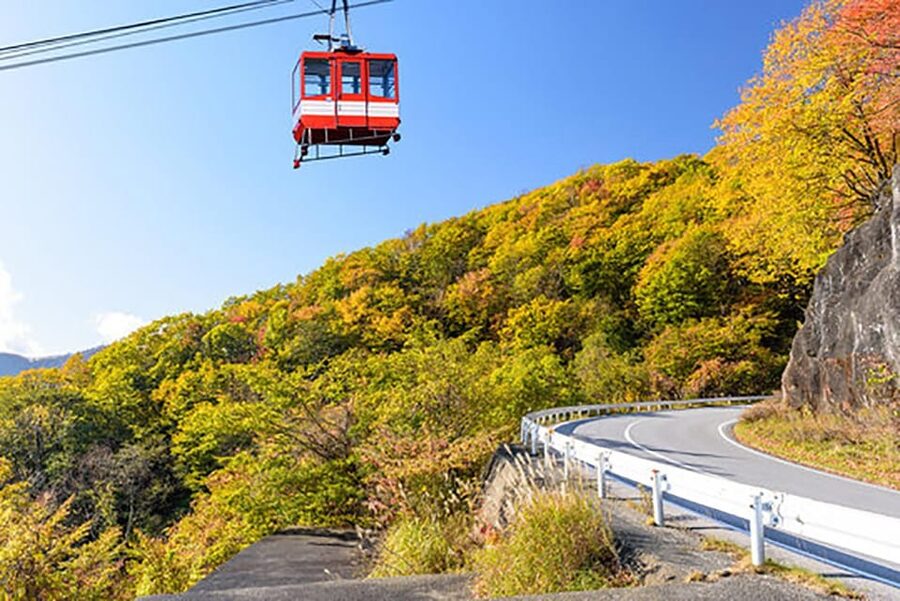 From Tokyo: Nikko Private Tour with English-speaking Guide - Should You Book This Private Nikko Tour?