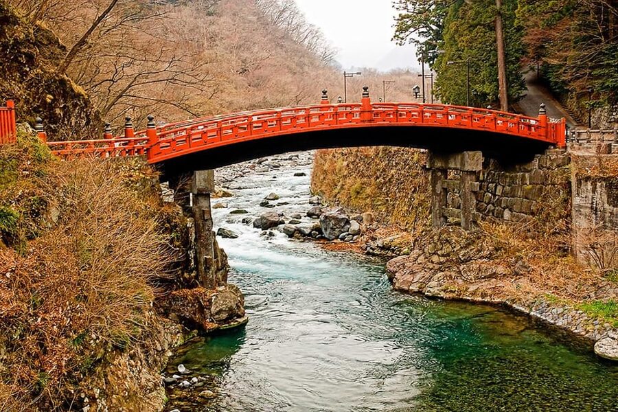 From Tokyo: Nikko Private Tour with English-speaking Guide - Shibu Onsen, Narabi Jizo, and Ashikaga Flower Park: The Finish Line Part